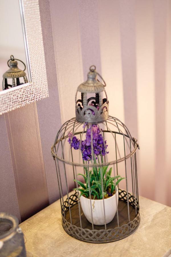 Villa Saint Lucas スプリト エクステリア 写真